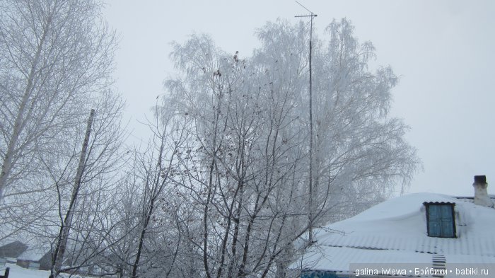 Зимние узоры | Бэйбики Зимние узоры — Болталка и разговоры обо всем: жизнь (фото 2)
