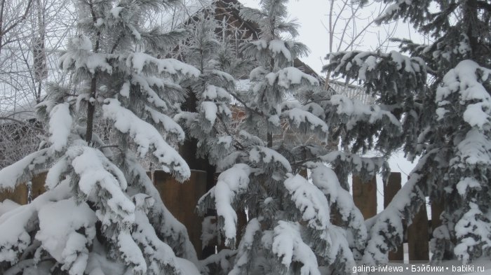 Зимние узоры | Бэйбики Зимние узоры — Болталка и разговоры обо всем: жизнь