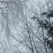 Зимние узоры.