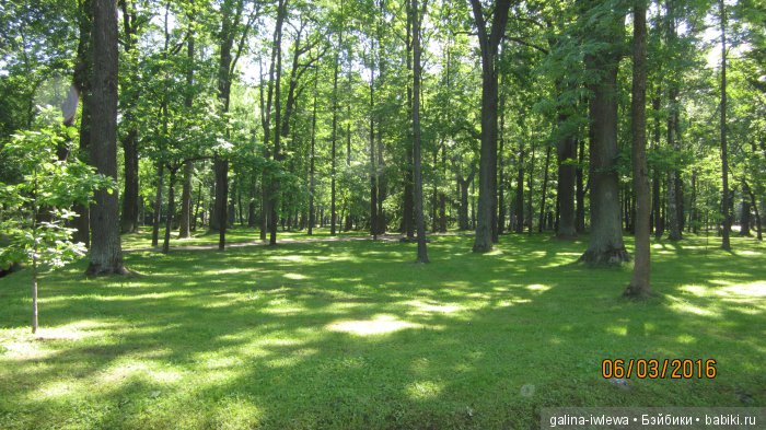 Вид на Питер. Летнее путешествие. [Часть 1]