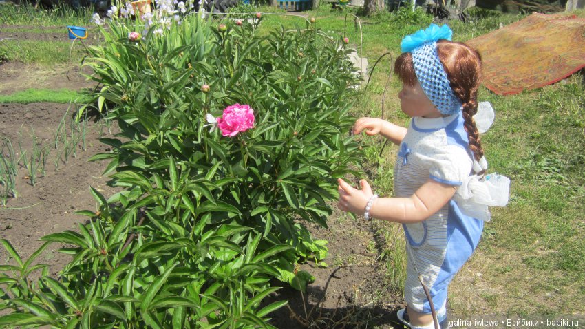 Цветы нашего лета — Болталка и разговоры обо всем: жизнь