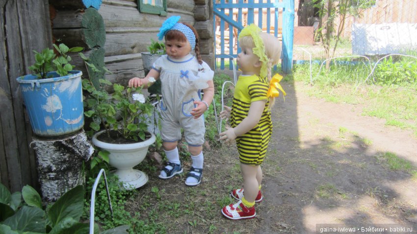 Цветы нашего лета — Болталка и разговоры обо всем: жизнь