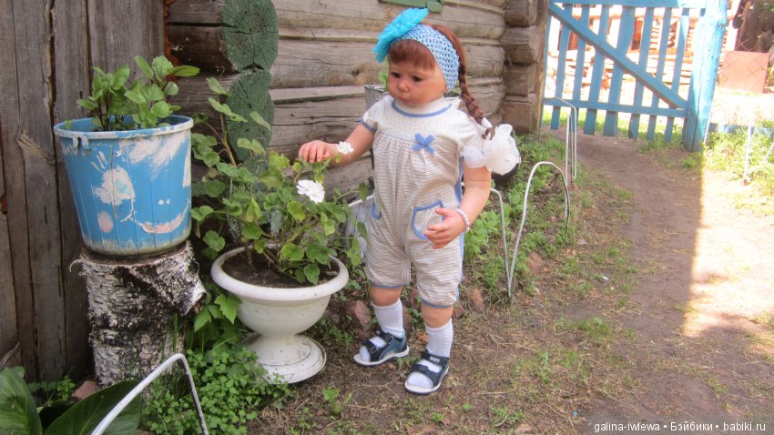 Цветы нашего лета — Болталка и разговоры обо всем: жизнь