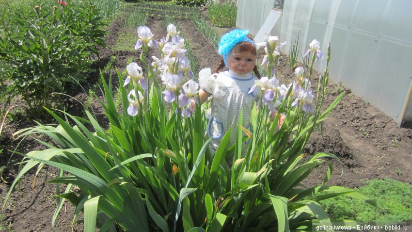 Цветы нашего лета — Болталка и разговоры обо всем: жизнь