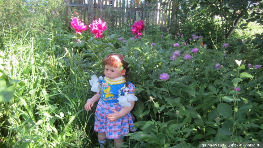 Цветы нашего лета — Болталка и разговоры обо всем: жизнь (фото 6)