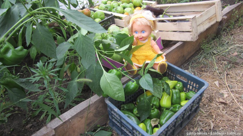 Похождения Ясеньки — Куклы Galoob Baby Face (Фейсинки): винтаж 90