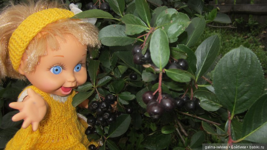 Похождения Ясеньки — Куклы Galoob Baby Face (Фейсинки): винтаж 90