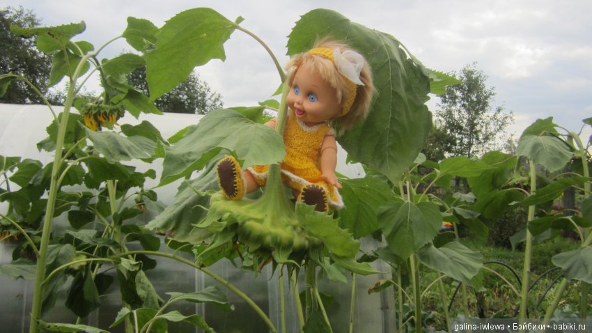 Похождения Ясеньки — Куклы Galoob Baby Face (Фейсинки): винтаж 90