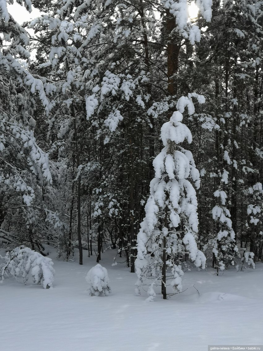 Снежные наряды — Болталка и разговоры обо всем: жизнь (фото 6)