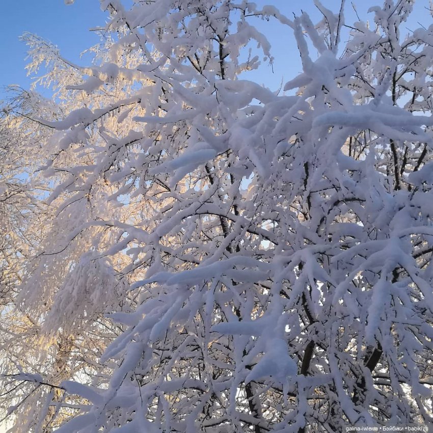 Снежные наряды — Болталка и разговоры обо всем: жизнь
