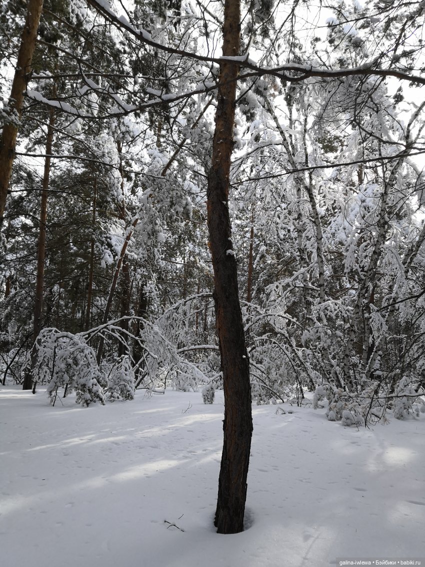 Снежные наряды — Болталка и разговоры обо всем: жизнь
