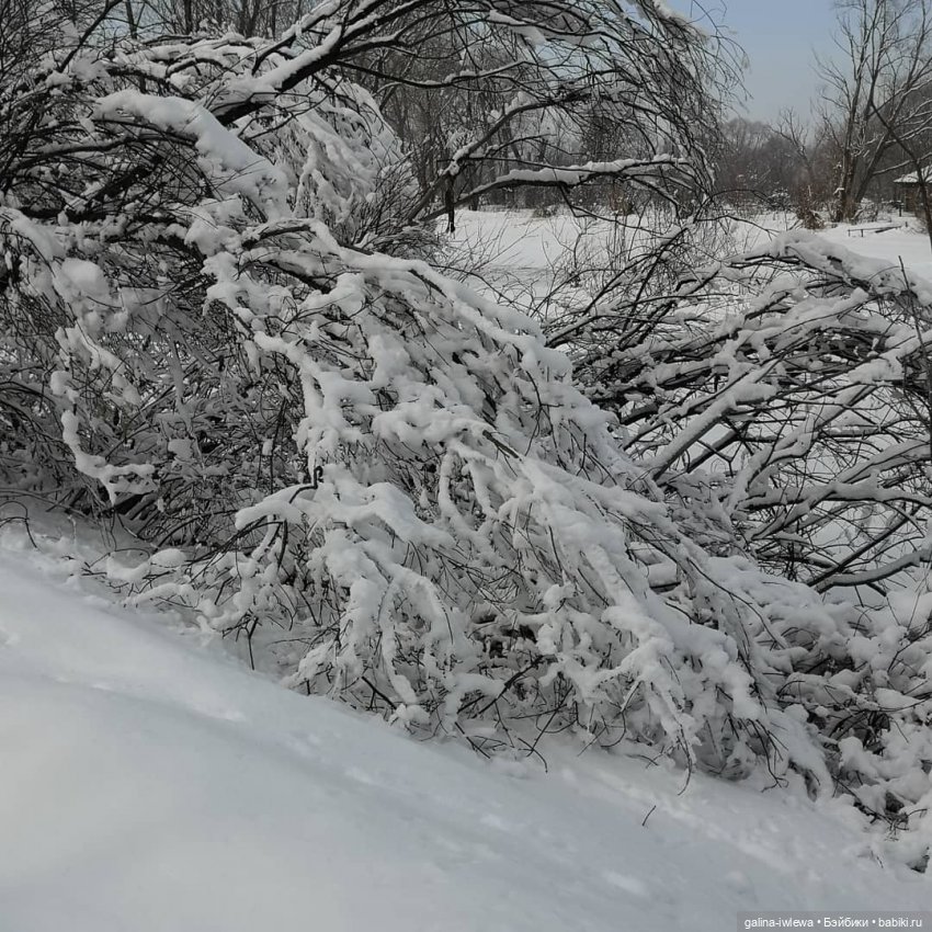 Снежные наряды — Болталка и разговоры обо всем: жизнь (фото 9)