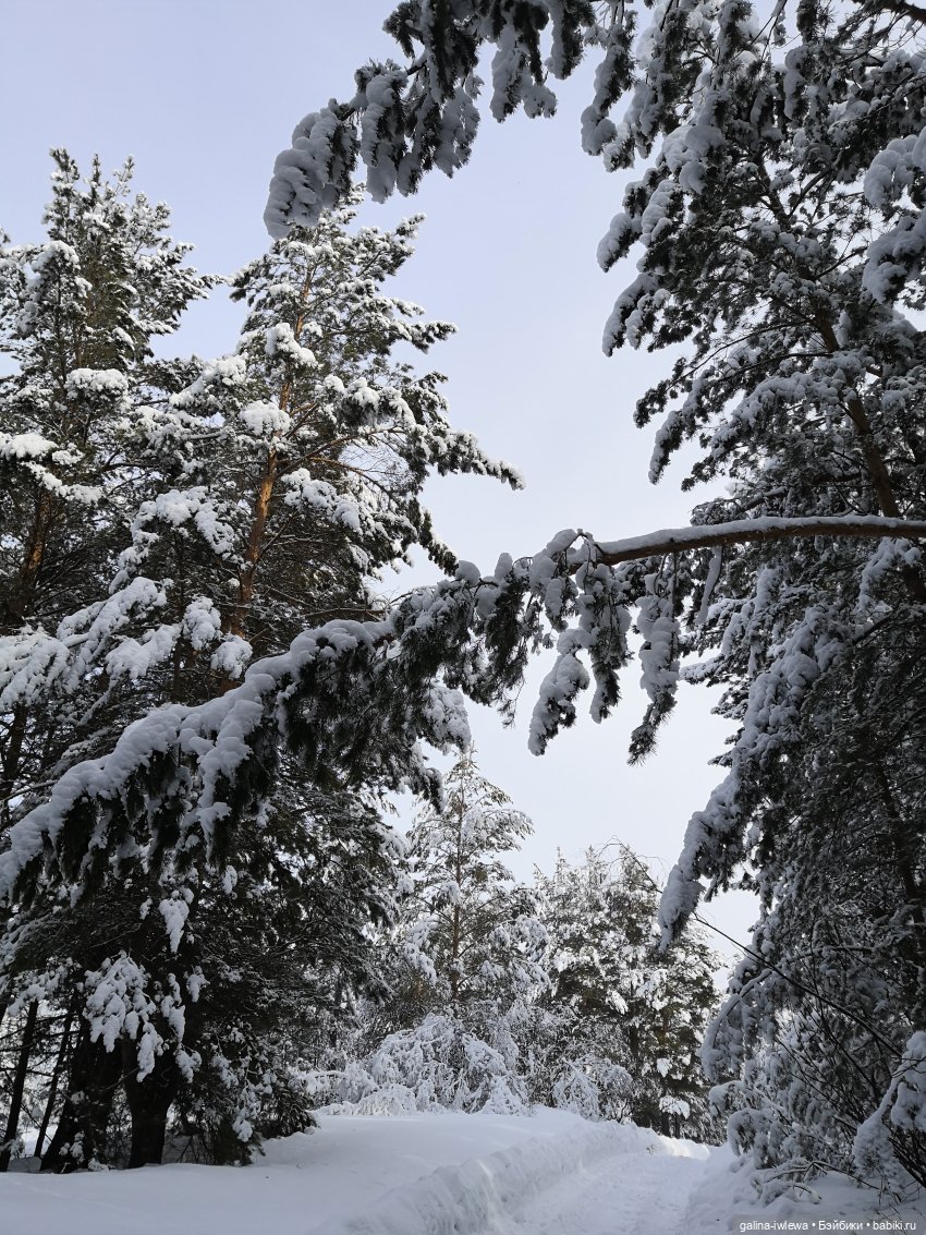 Снежные наряды — Болталка и разговоры обо всем: жизнь (фото 5)