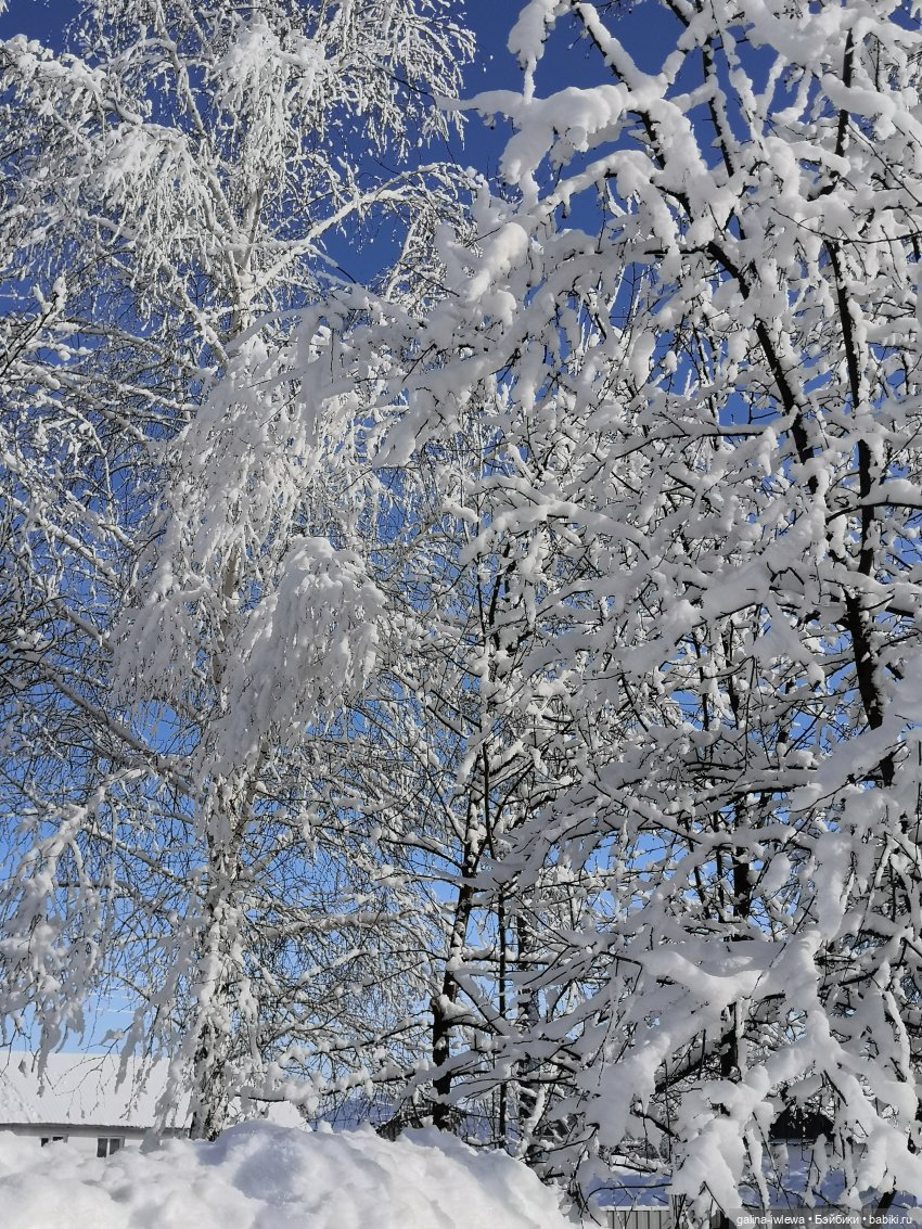 Снежные наряды — Болталка и разговоры обо всем: жизнь