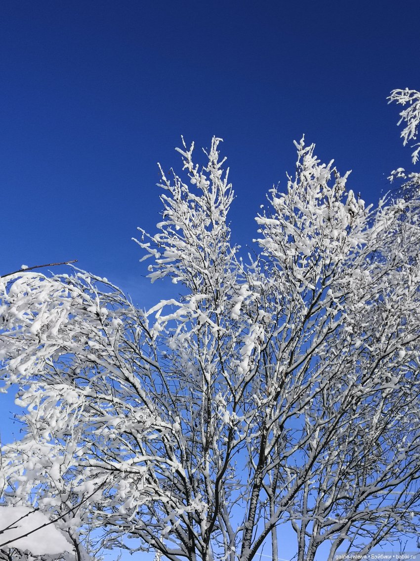 Снежные наряды — Болталка и разговоры обо всем: жизнь (фото 7)