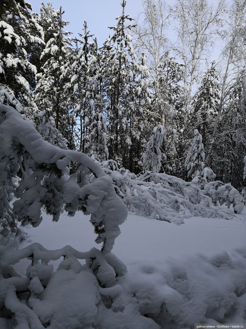 Снежные наряды — Болталка и разговоры обо всем: жизнь (фото 2)