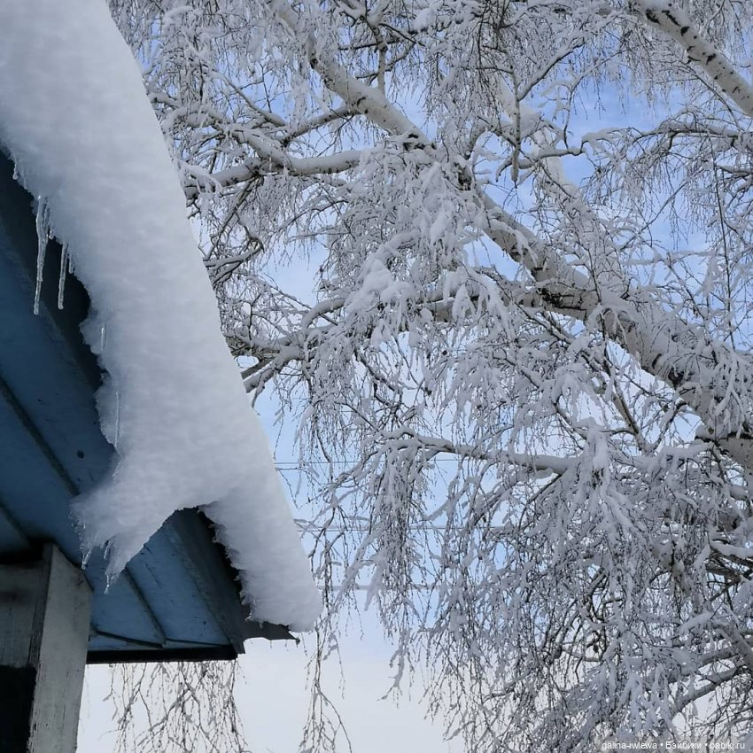 Снежные наряды — Болталка и разговоры обо всем: жизнь