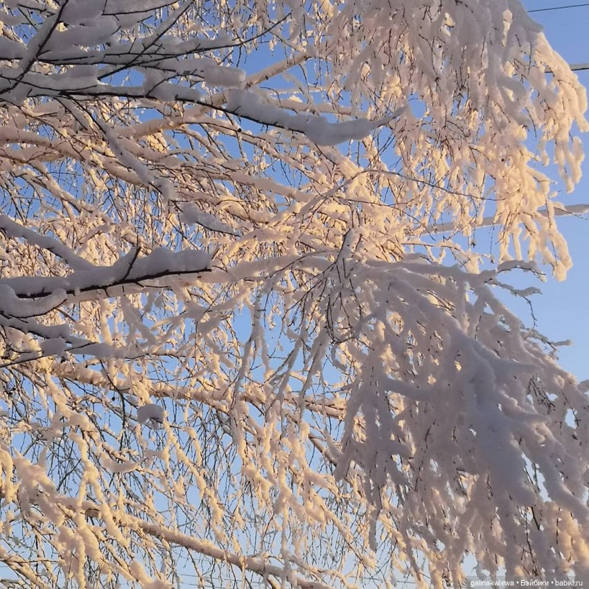 Снежные наряды — Болталка и разговоры обо всем: жизнь
