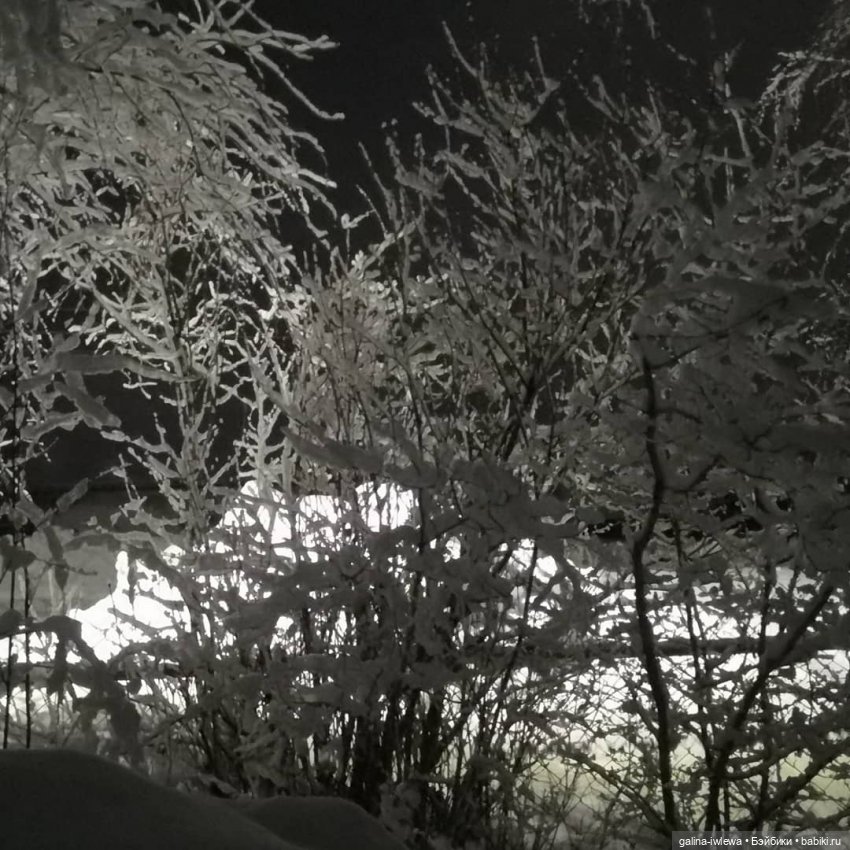 Снежные наряды — Болталка и разговоры обо всем: жизнь