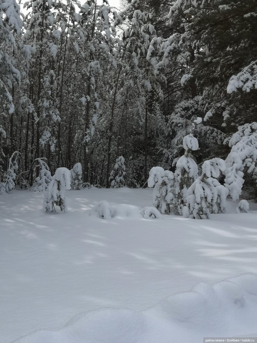 Снежные наряды — Болталка и разговоры обо всем: жизнь