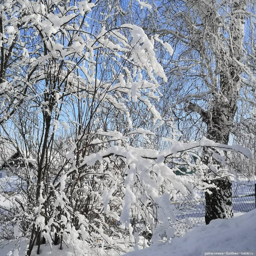 Снежные наряды — Болталка и разговоры обо всем: жизнь (фото 10)