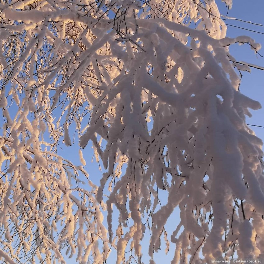 Снежные наряды — Болталка и разговоры обо всем: жизнь