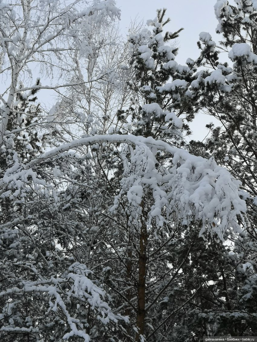 Снежные наряды — Болталка и разговоры обо всем: жизнь