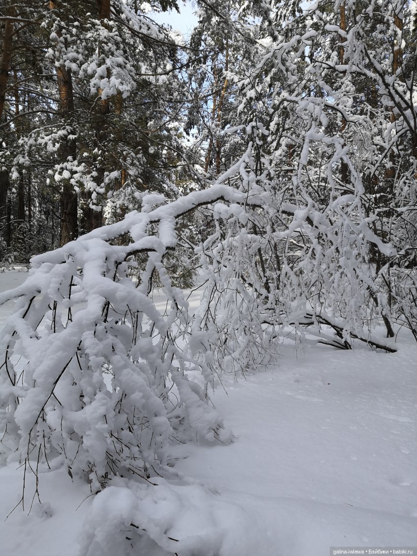 Снежные наряды — Болталка и разговоры обо всем: жизнь (фото 4)