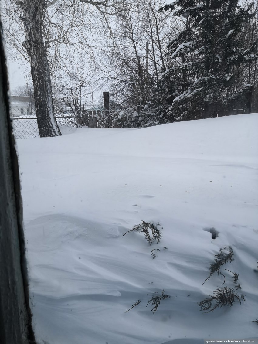 Как Мелиса весну искала | Бэйбики Как Мелиса весну искала — Куклы Реборн (Reborn): домашние фото (фото 5)