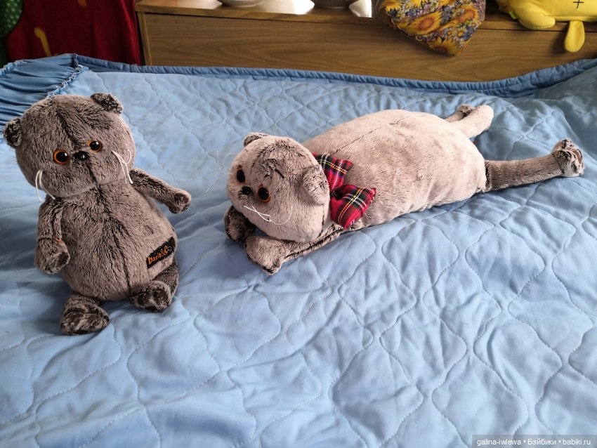 Много Басиков не бывает — Куклы Реборн (Reborn): домашние фото (фото 3)