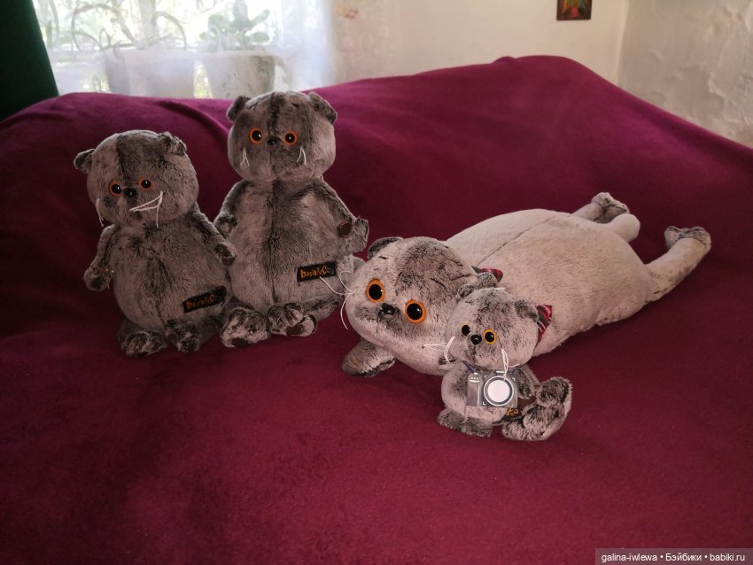 И снова Басики — Кот Басик (фото 4)