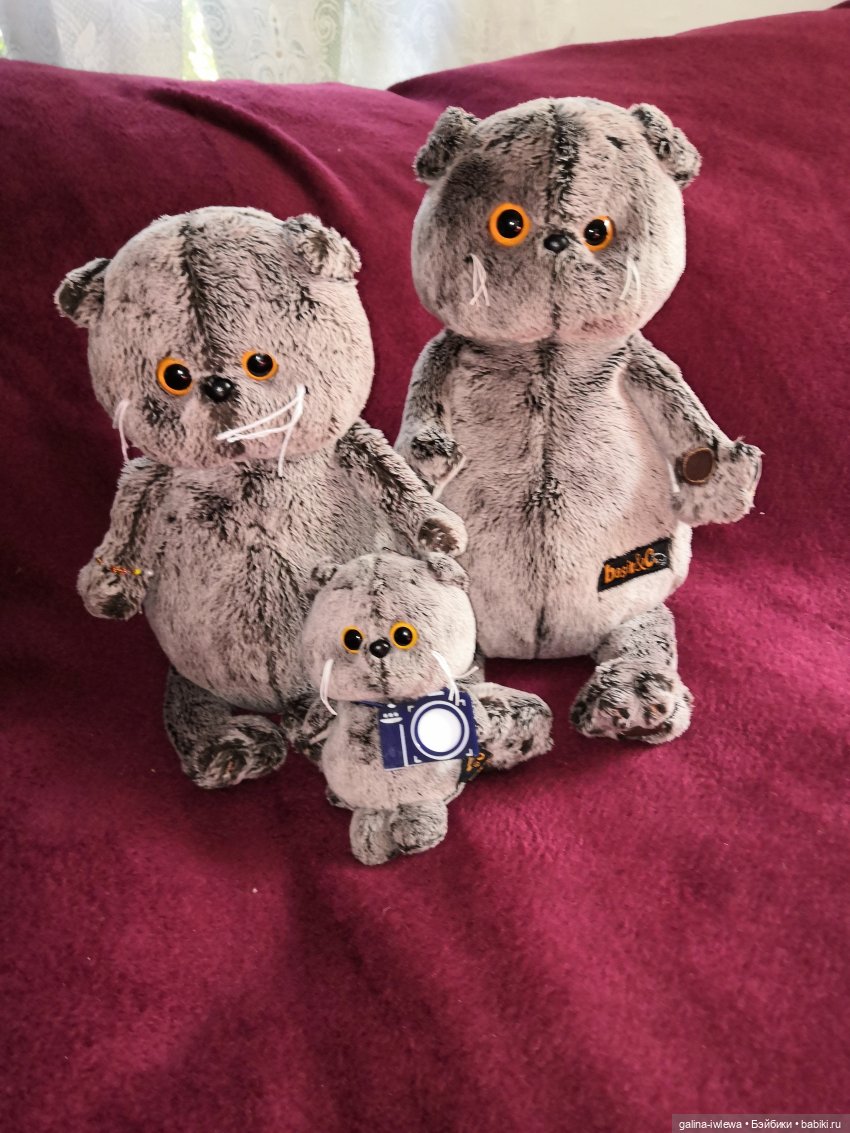 И снова Басики — Кот Басик