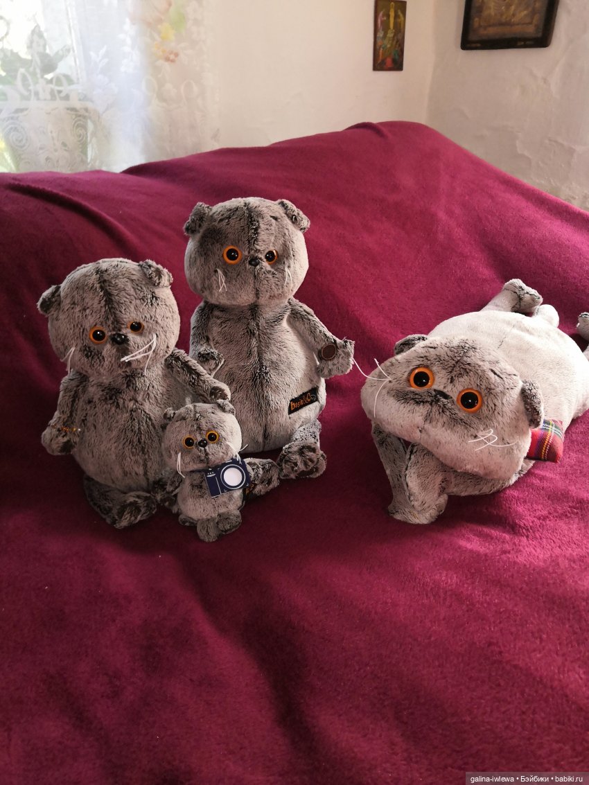 И снова Басики — Кот Басик (фото 2)