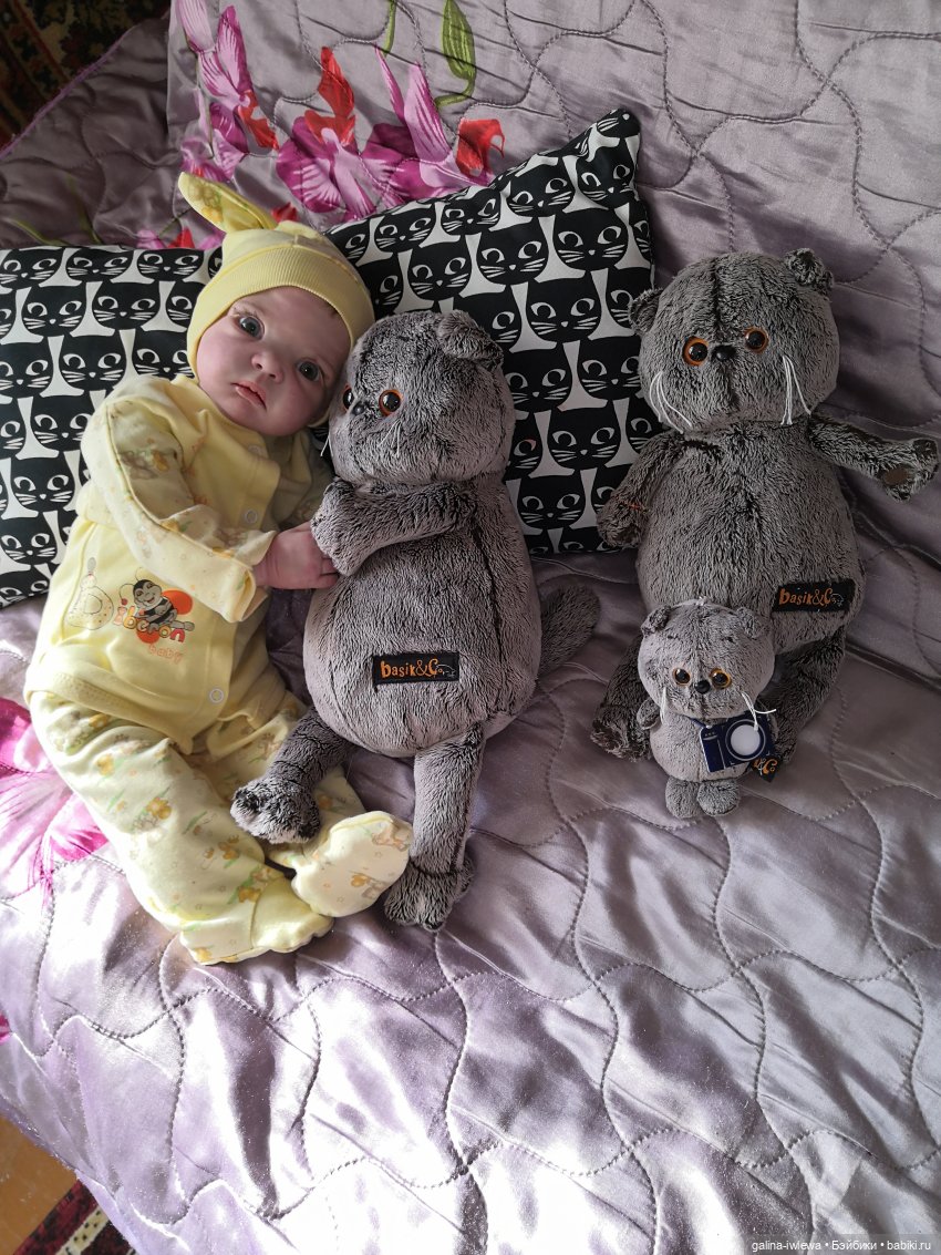 И снова Басики — Кот Басик