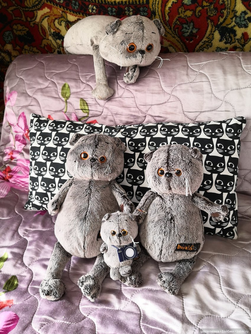 И снова Басики — Кот Басик