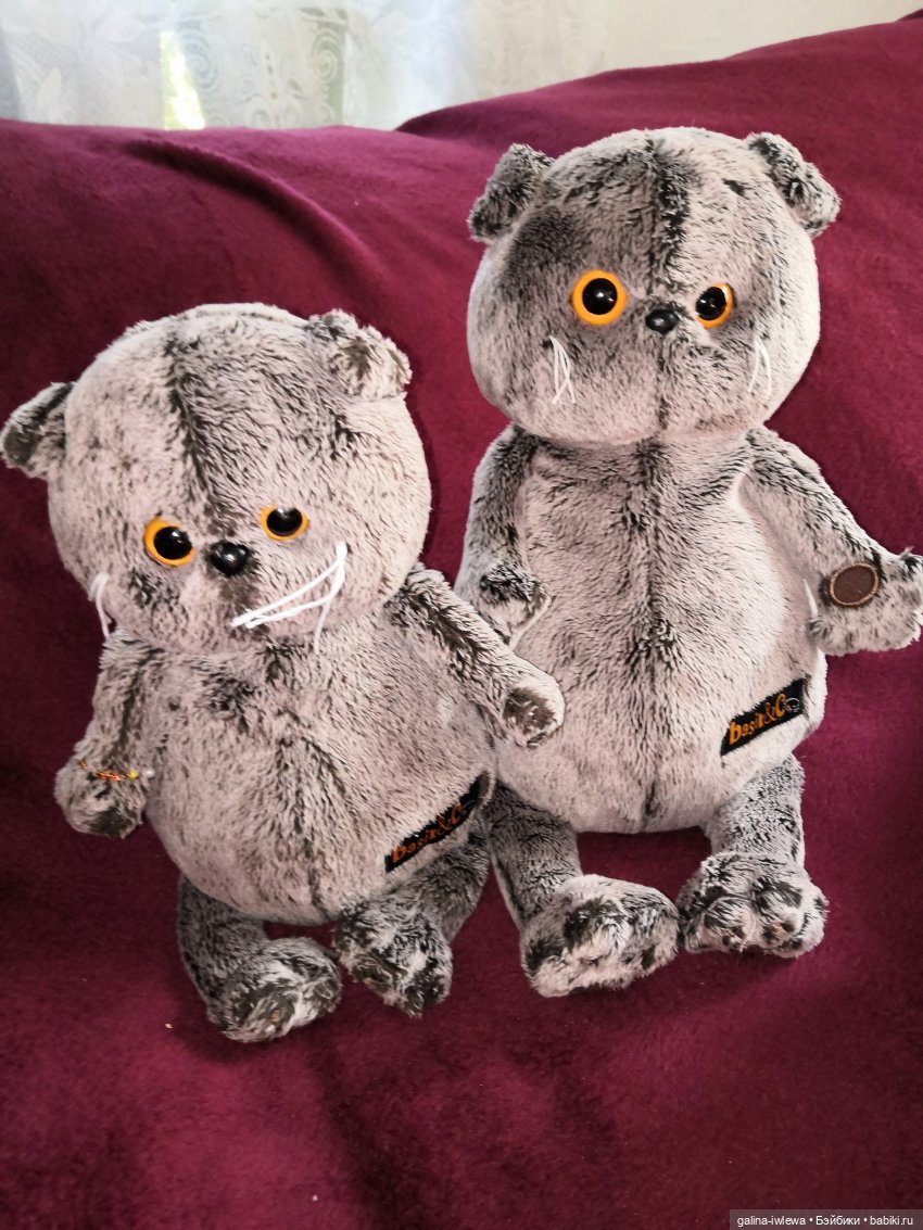 И снова Басики — Кот Басик (фото 3)