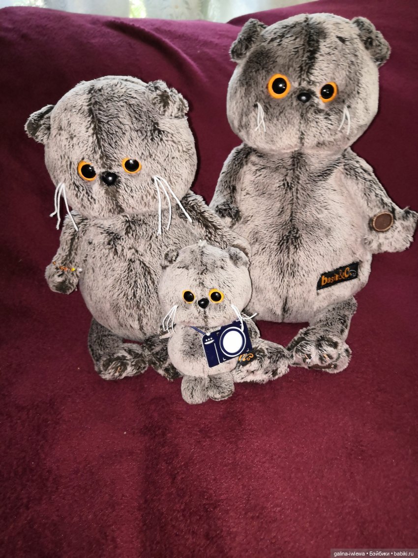 И снова Басики — Кот Басик (фото 5)