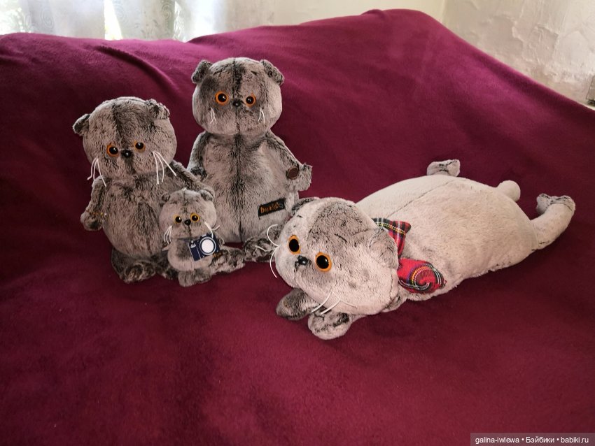 И снова Басики — Кот Басик (фото 6)