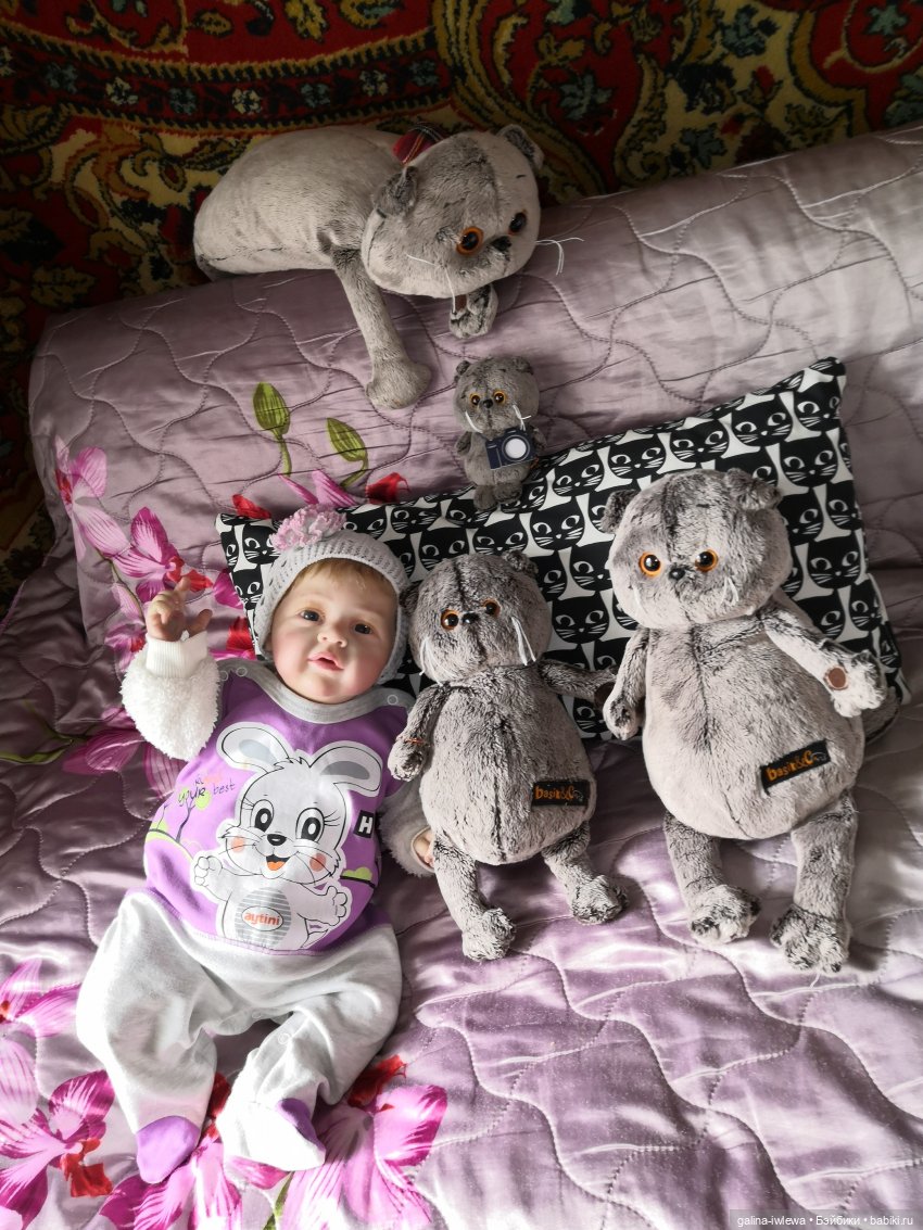 И снова Басики — Кот Басик