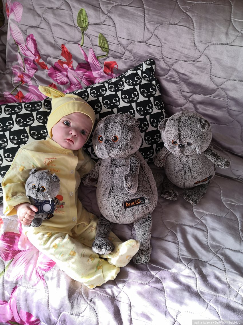 И снова Басики — Кот Басик