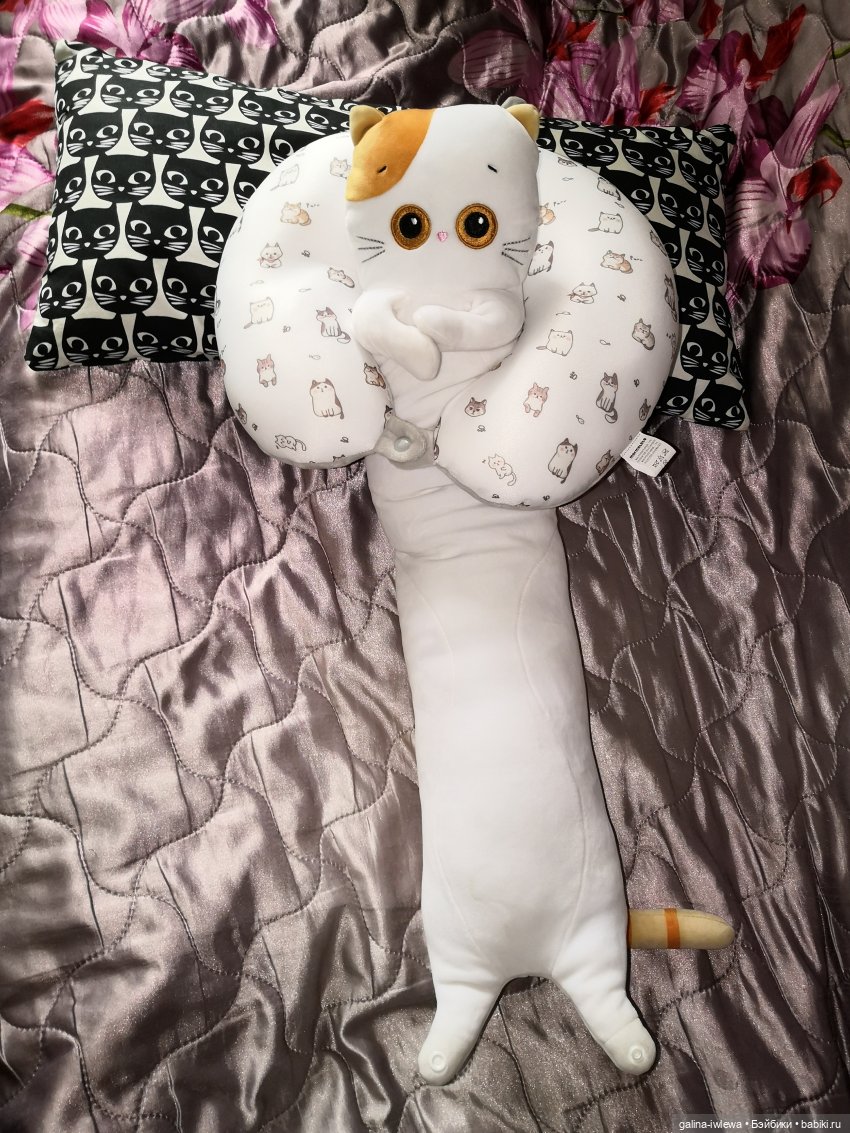 И снова Басики. Продолжение (фото 6)