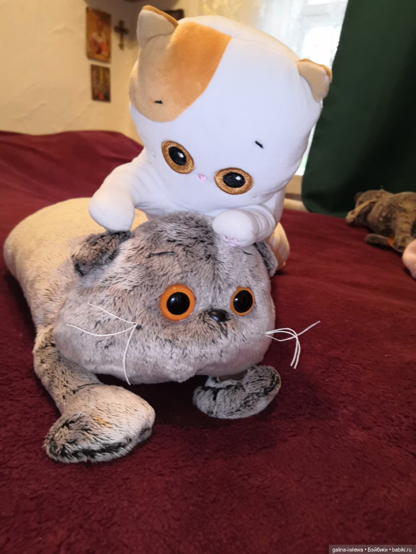 И снова Басики. Продолжение (фото 8)