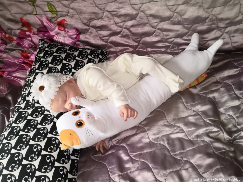 И снова Басики. Продолжение (фото 4)