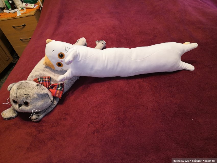 И снова Басики. Продолжение (фото 9)