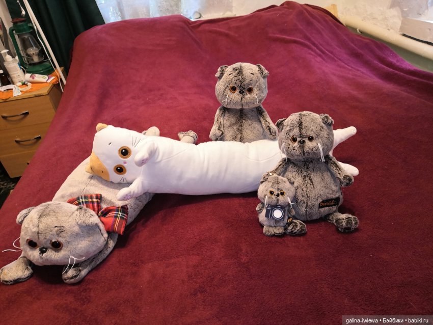 И снова Басики. Продолжение (фото 10)