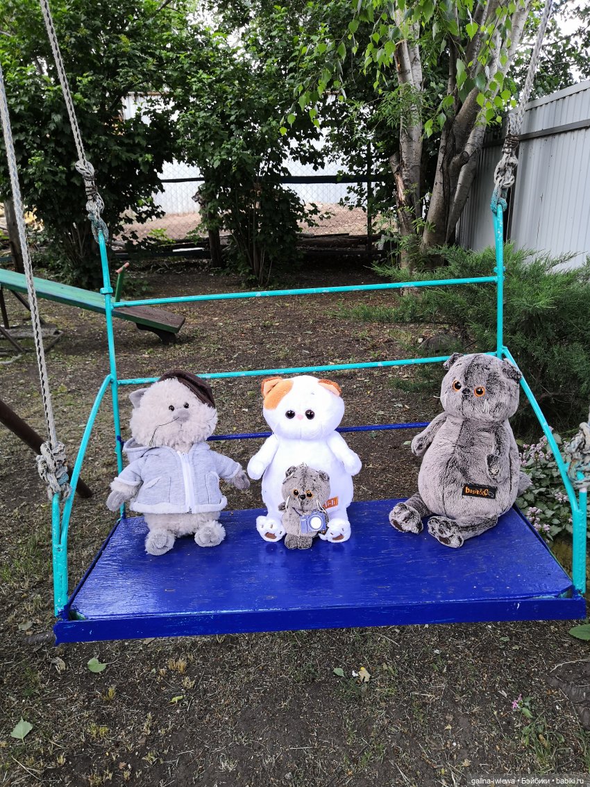 Лето и котики — Кот Басик