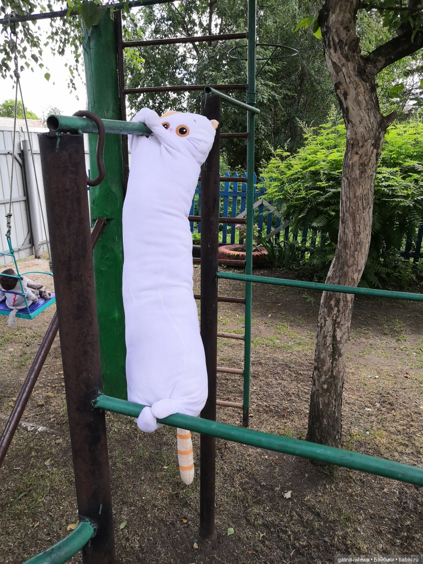 Лето и котики — Кот Басик