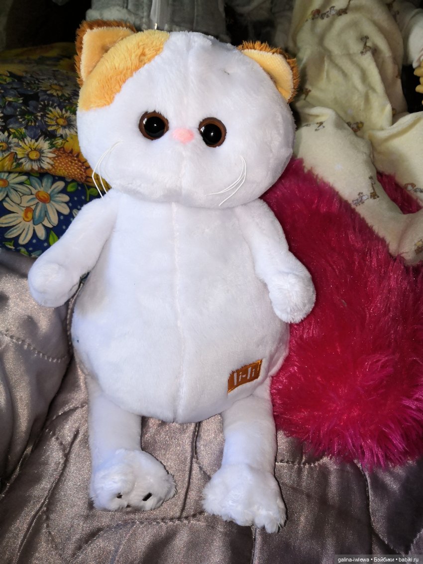 Лето и котики — Кот Басик (фото 2)