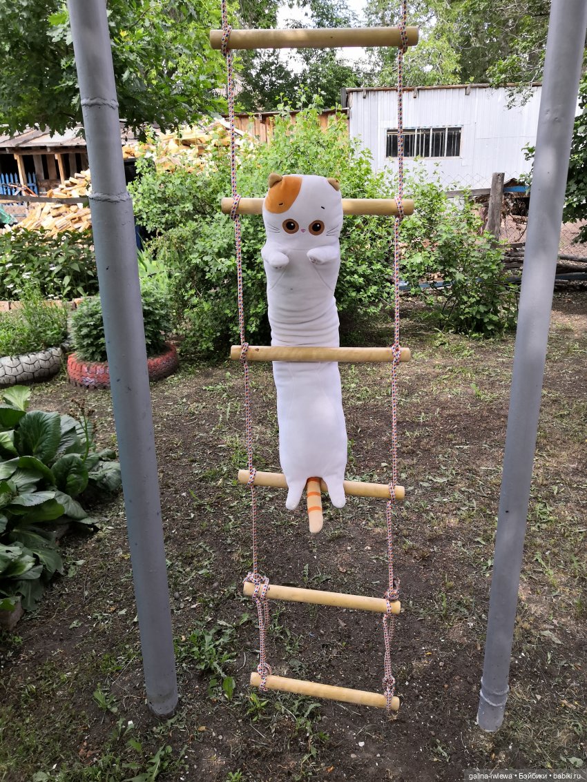 Лето и котики — Кот Басик