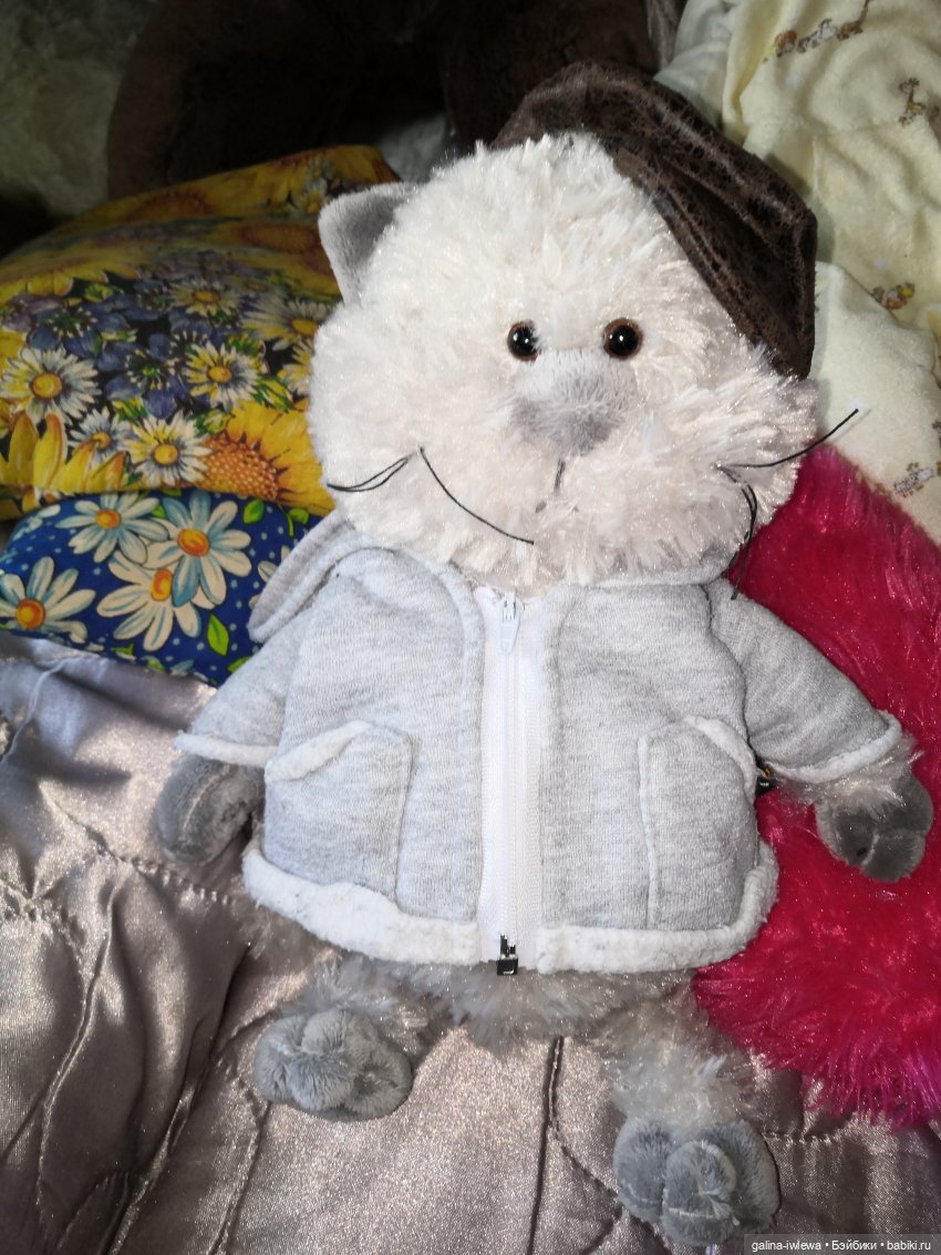 Лето и котики — Кот Басик